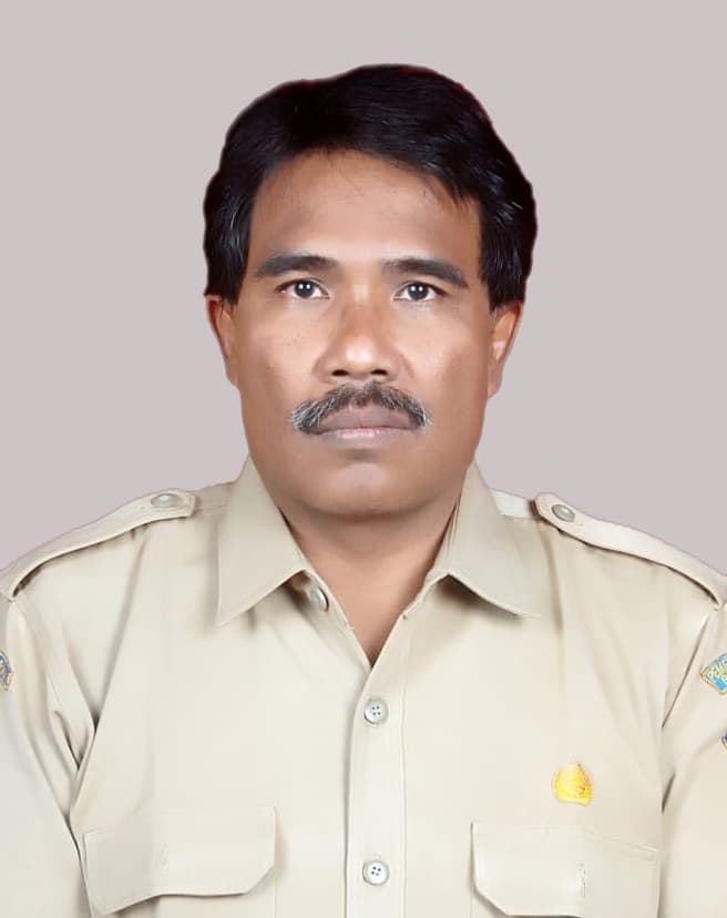 I Wayan Balok Wijaya, S.Kom