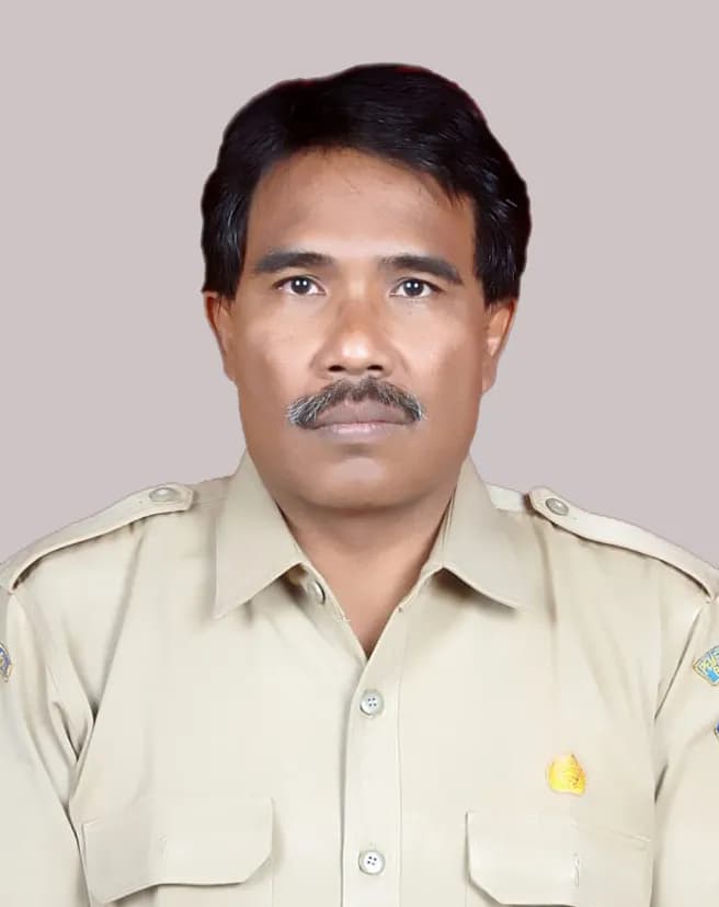 I Wayan Balok Wijaya, S.Kom